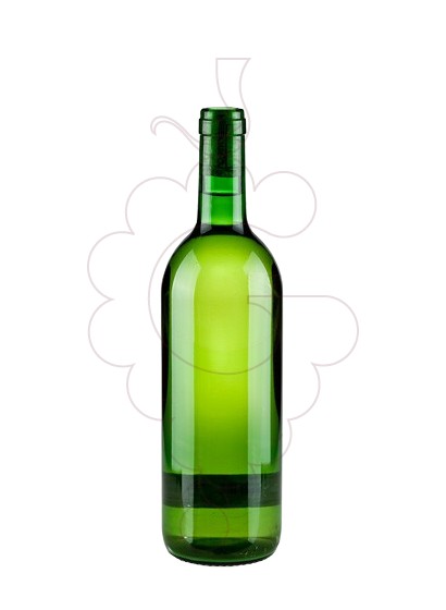 Photo Vinho Turbio Xoven white wine