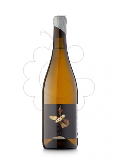 Photo Vinyes Singulars Salinar white wine