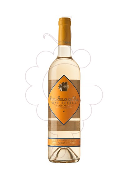 Photo White Vinya Selva de Mar white wine