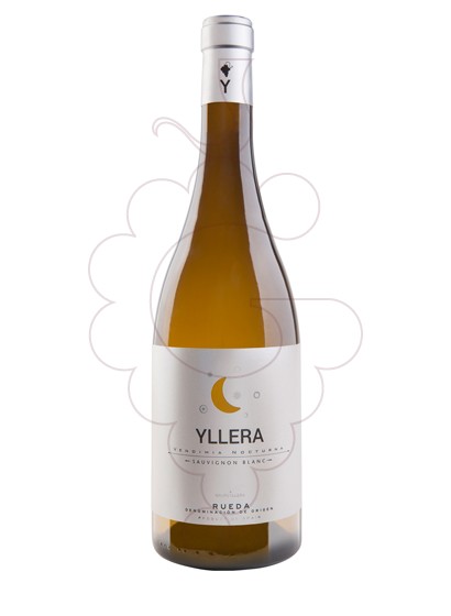 Photo Yllera Sauvignon Blanc white wine